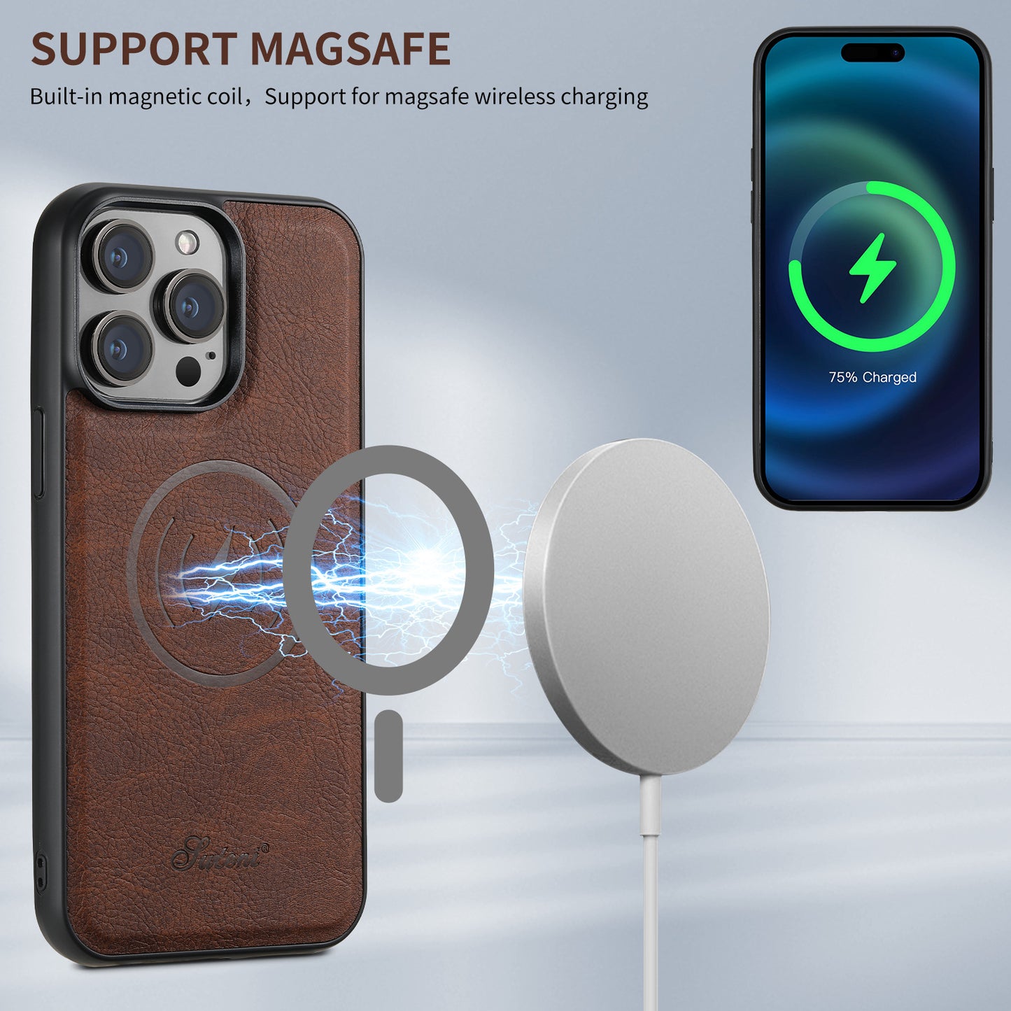 iPhone plug-in case