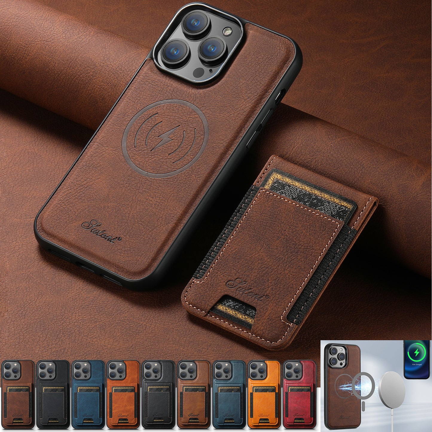iPhone plug-in case